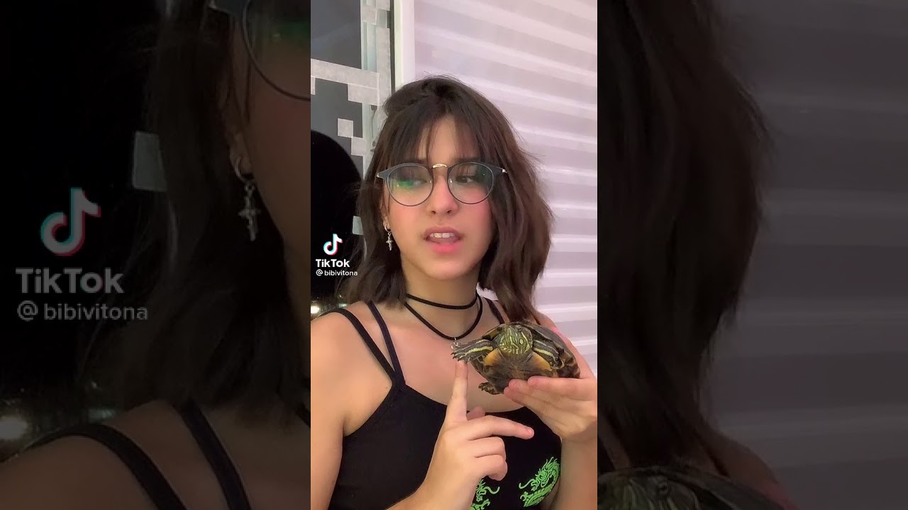 Manda a 🐢 gemendo