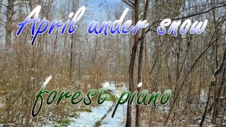 Calm Piano U0026 Spring Forest Under Snow  Epidemic Sound Instrumental 4k Travel U0026  