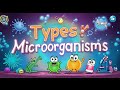 Types of Microorganisms | Bacteria, Viruses, Fungi, Protozoa, Algae & Archaea Explained