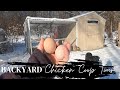 Backyard suburban chicken coop tour quarter acre farming