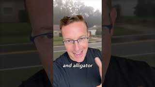 WOW: Florida Man vs. Gator 🐊 👀