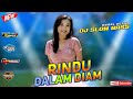 DJ Rindu Dalam Diam - DJ INTAN NOVELA feat 69 Project | Dj Minang Terbaru 2022