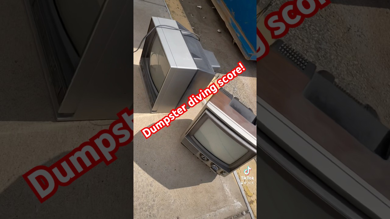 Found these two old TVs in a dumpster 