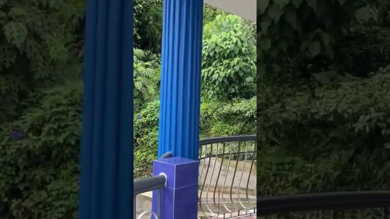 serenity of mountain village। amazing nature videos। 🕊️💚