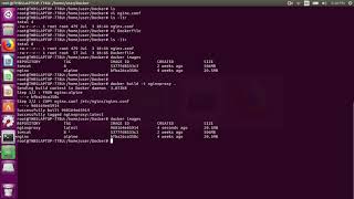 Nginx to Tomcat proxy pass using Docker container