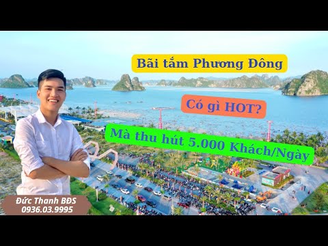 Video Riview bãi tắm dự án Phương Đông Vân Đồn | Có nên đầu... - youtube