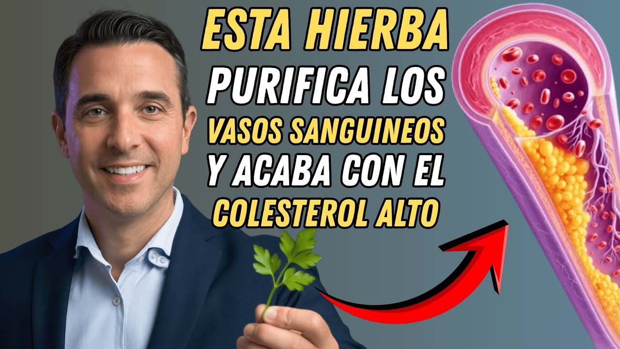 Las 4 hierbas sagradas más potentes que deberías usar para bajar el colesterol