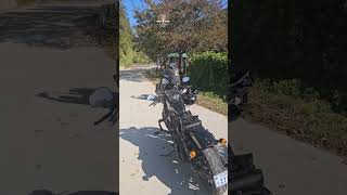 소프테일 슬림 커스텀