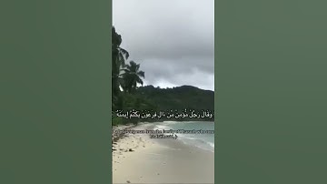 القارئ : خالد الجليل سورة غافر اية ٢٦ الى اية ٢٨