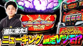 Set V] New King Hana Hana finally gets a Set V!?! The New King is