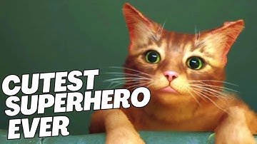 STRAY 2022 WALKTHROUGH GAMEPLAY PART 1 No Commentary Game @ 4K 60FPS | Captain Game