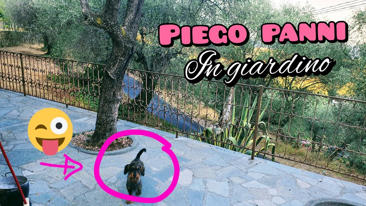 VIDEO WILD PIEGO PANNI - ASMR ITA Lo-Fi