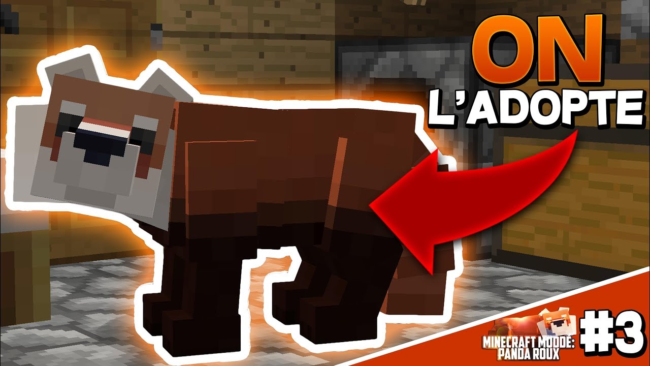 Panda Roux Minecraft ON ADOPTE UN PANDA ROUX ?! + CRÉATION DE LA MAISON ! | Minecraft Moddé ...