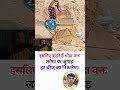 थोड़ा वक्त लगेगा 💯#dailymotivation #success #inspiration #viralshorts #motivationalvideo #shortsfeed