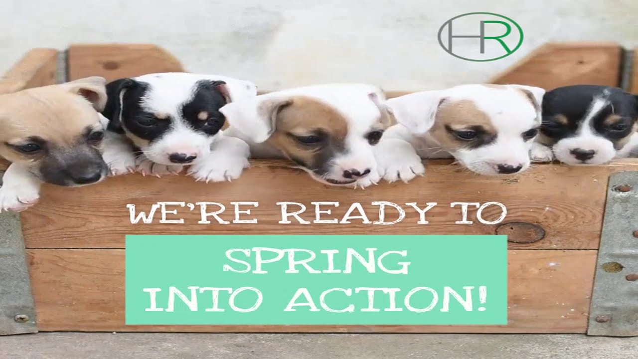 Real Estate agents Lakewood COHomes For Sale Golden CO