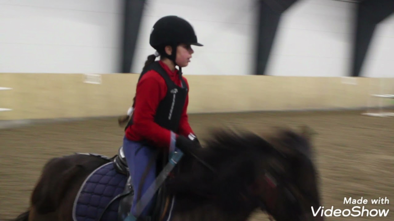 Seren sprangtrening (Kalland  ridesenter)#horse#Riding#فروسية#النرويج#سوريا#satisfyingvideo - YouTube