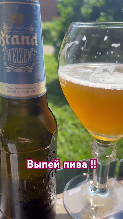 Выпей пива !!! #пиво #юмор #love #beer - YouTube