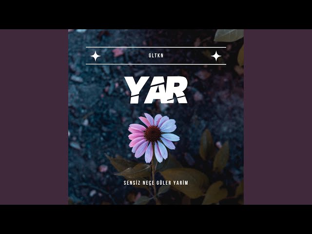 YAR