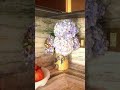 Cozy Kitchen Moments &amp; Slow Living Inspiration | Travis London