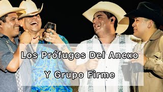 Los Prófugos Del Anexo y Grupo Firme 🤠 Veracruz 2024 💥