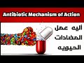 آليه عمل المضادات الحيويه - شرح Antibiotic Mechanism of action