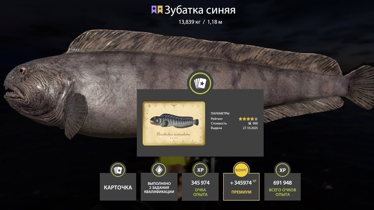 📢СТРИМ РР4🔥ВЕЧЕРНЯЯ МОРСКАЯ РЫБАЛОЧКА🔥РУССКАЯ РЫБАЛКА 4