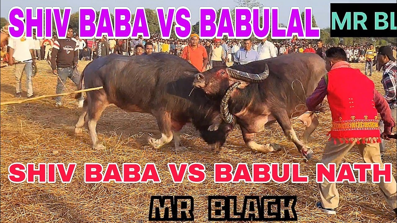 BABA VS BABULAL NATH 💥☠️ || mohjuj ||  