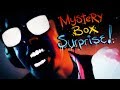 Mystery Box SURPRISE!