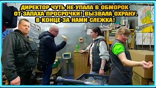 ДИРЕКТОР ЧУТЬ НЕ УПАЛА В ОБМОРОК ОТ ЗАПАХА ПРОСРОЧКИ! / ВЫЗВАЛА ОХРАНУ. / В КОНЦЕ ЗА НАМИ СЛЕЖКА.