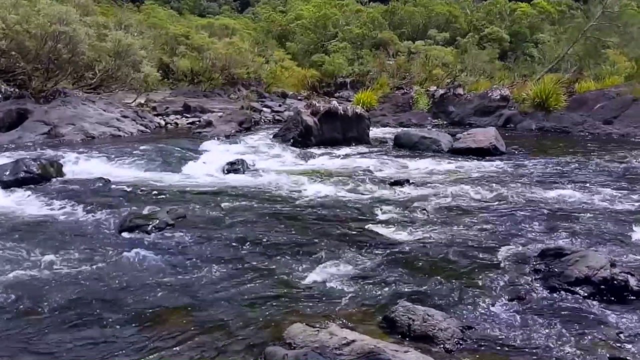 Platypus Flat Campground - Nymboi-Binderay National Park