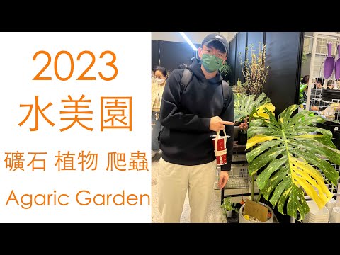 2023 水美園 觀葉植物市集 / 塊根 鹿角蕨 蔓綠絨 火鶴花燭 多肉 空氣鳳梨 積水鳳梨 礦石 爬蟲 一次滿足 in Taipei
