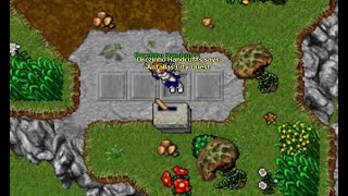 Anfallas City Quest LEVEL: 160+ - BRONSON SERVER