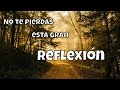 Cosecha lo bueno que siembras| Reflexión