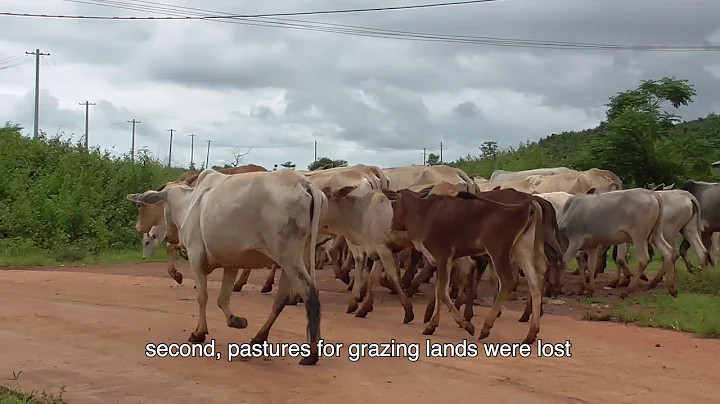 Socio  Economic Issues Behind the KBZ Cement Factory Shan State In Myanmar