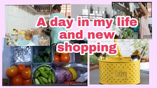 Indian Mom Cleaning Routine And Amazon Shopping Pion