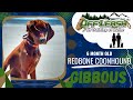 GIBBOUS | 6 month old Redbone Coonhound | Incredible Before & After | Off Leash K9 Training of Maine