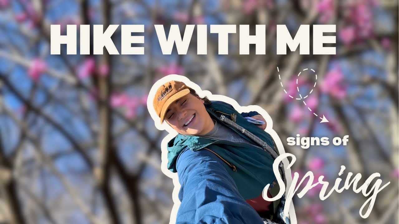 Exploring my favorite forest in spring - YouTube