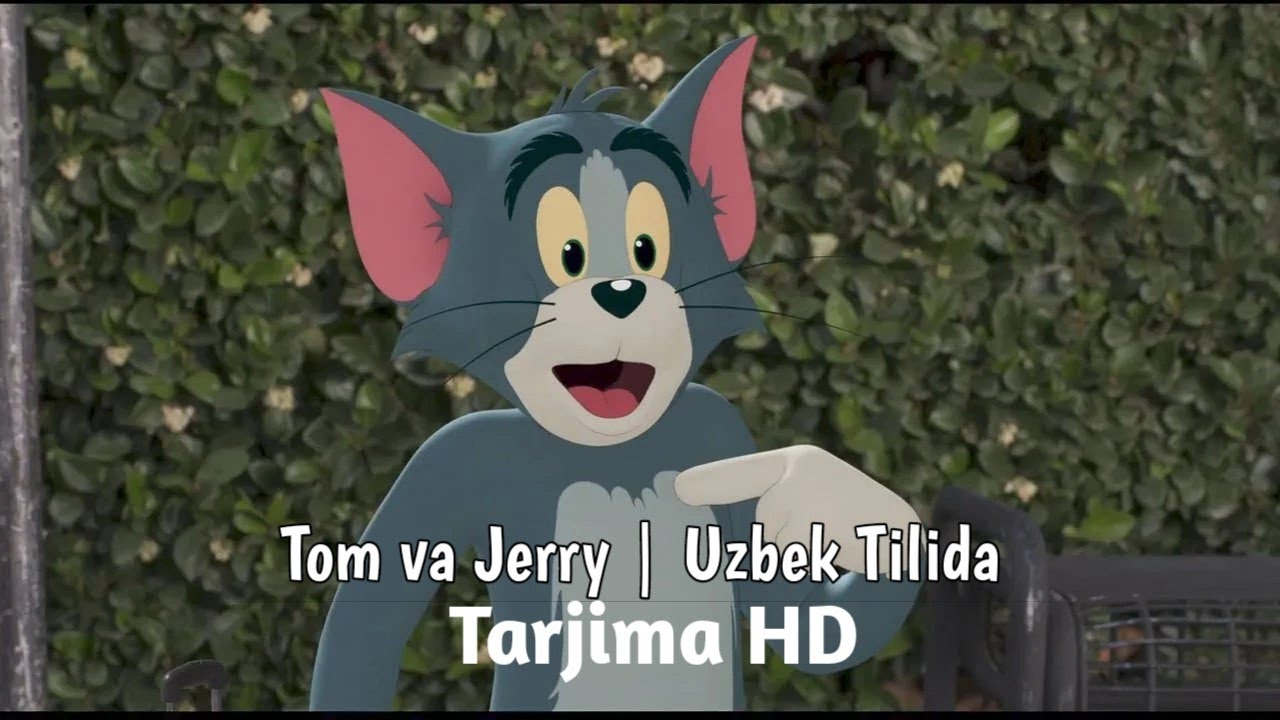 Том и джерри на аву. Tom and jerry. Tom va jerry uzbek tilida. Том и джерри сыр. Том и джерри 1996.