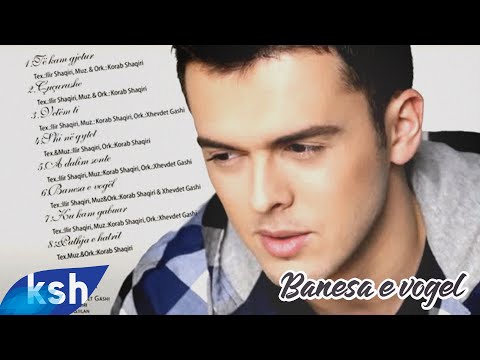 Korab Shaqiri - Banesa e vogël (Official Audio)