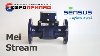 Лічильник води турбінний Sensus MeiStream 40/50
