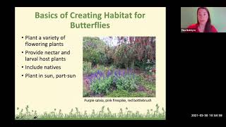 Florida Butterfly Gardening