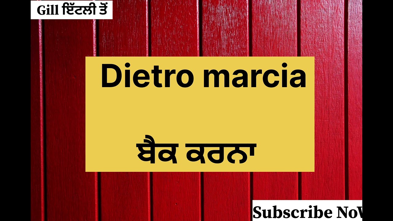 Italian🇮🇹Language In Punjabi ||Sentences(DailyUses EasyWords) #italianlanguagelearning #study #learn