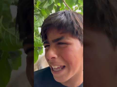 ولاد الحارة عم يسرقو توت سند Majed Mahdi الخال 