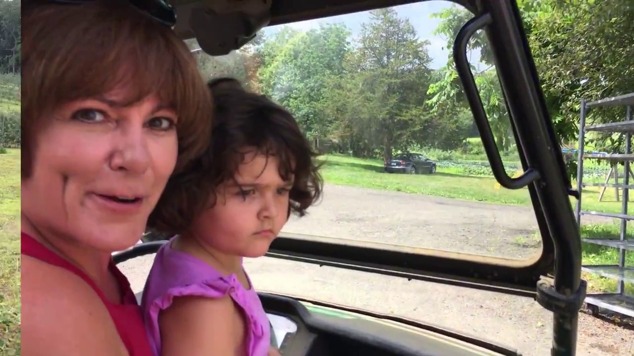 A Day at Sherwood Farm