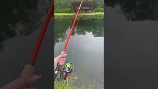 Эстетика форелевого хутора 🎣🥰🐠  #хутор #рыбалка #псков #отдых #россия