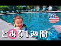 3歳児と過ごすのほほん日常☺️日米ハーフ•アメリカ生活•国際結婚｜英語 日本語字幕 とある1週間