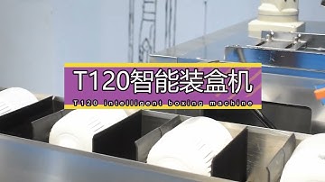 LED Bulb Intelligent Cartoning Machine T120 Bulb Automatic Packaging Machine