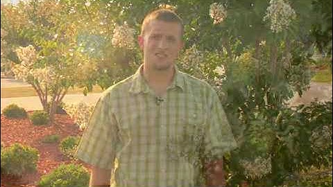 How to Find True North Without a Compass to Navigate