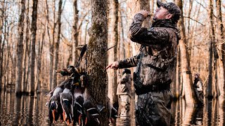 Unreal Duck Footage | Full Limits In the Arkansas Timber | Into The Woods with Rusty Creasey