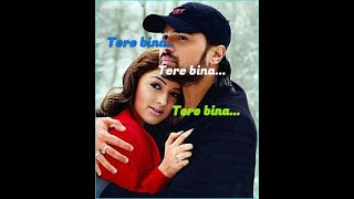 Tere bina... Teri yaad me kitne mere..